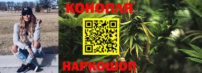гашик Кунгур