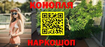 гашик Кунгур