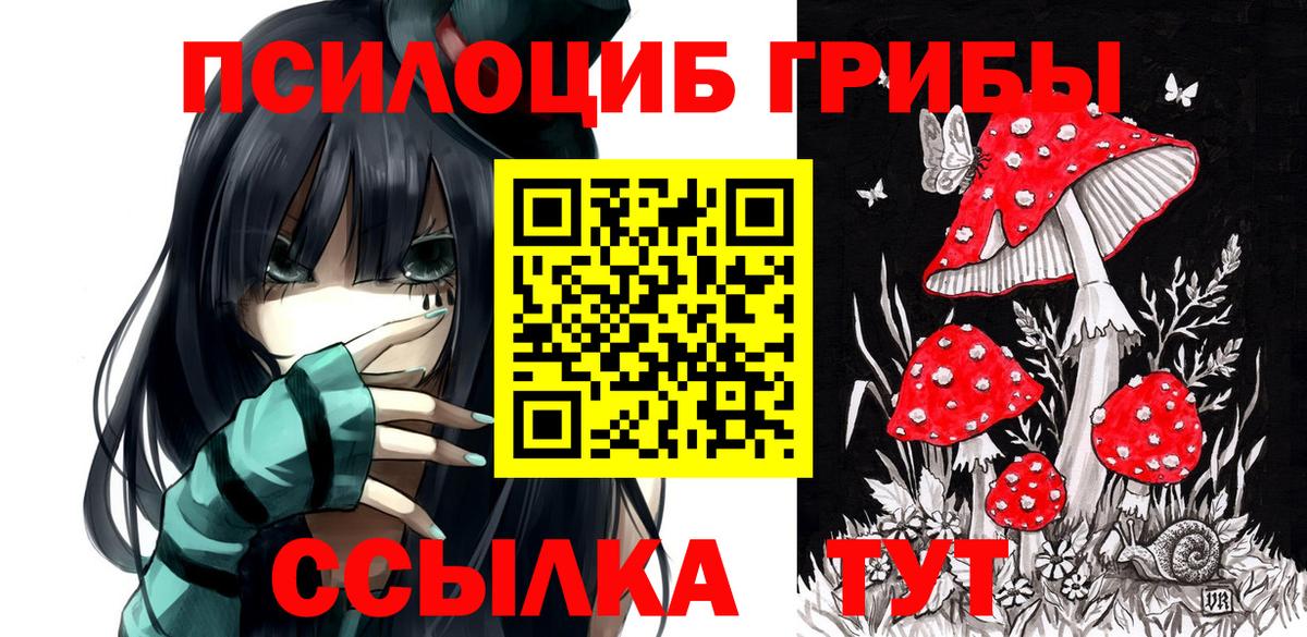 Дербент  Псилоцибиновые грибы мицелий  Вход с VPN 